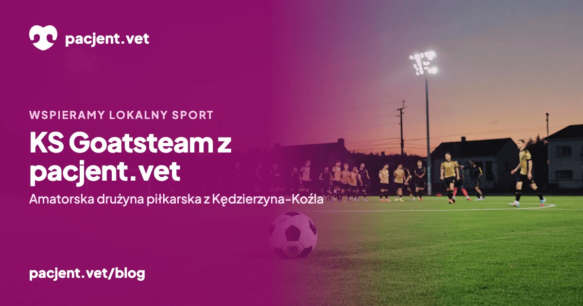 Piłka na boisku o zachodzie słońca, w tle piłkarze w czarno-złotych strojach – KS Goatsteam, drużyna wspierana przez pacjent.vet
