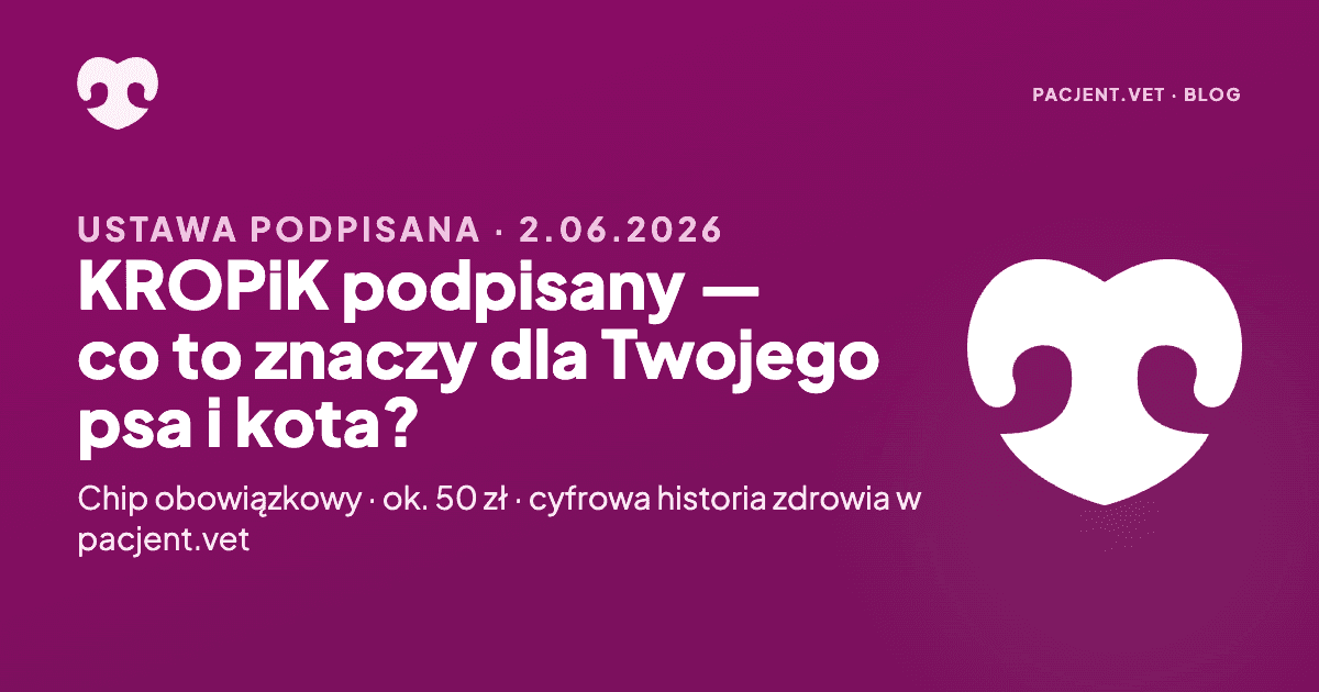 Pies i kot obok siebie, w tle symbol mikrochipa i logo pacjent.vet — ilustracja do ustawy o KROPiK.